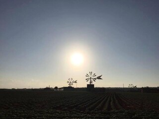 Villa Sa Pobla Environnement 6