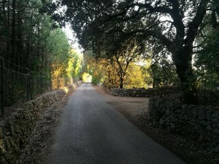 Villa Sa Pobla Entorno 7