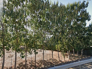 Villa Sa Pobla Environment 8