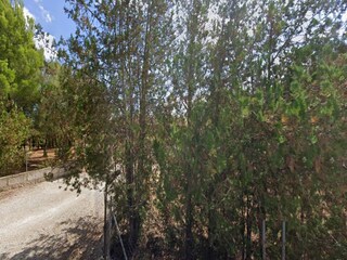 Villa Sa Pobla Entorno 11