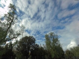 Villa Sa Pobla Environnement 12