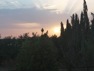 Villa Sa Pobla Ambiente 13