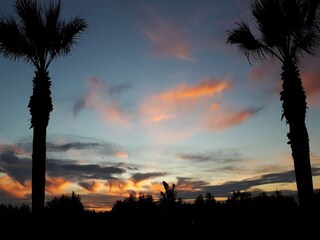 Villa Sa Pobla Omgeving 15