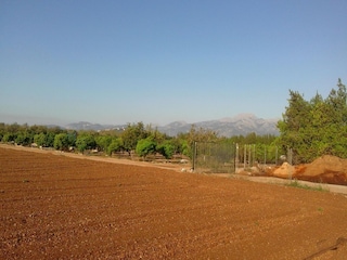 Villa Sa Pobla Umgebung 20