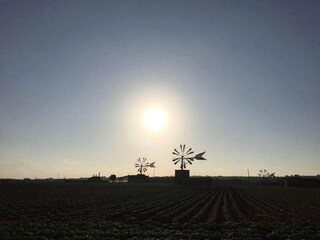 Villa Sa Pobla Entorno 16