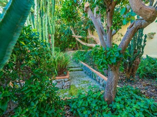 Villa Pollensa Enregistrement extérieur 15