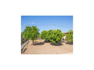 Villa Montuiri Grabación al aire libre 25