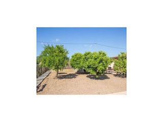 Villa Montuiri Outdoor Recording 25