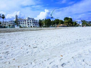 Apartment Alcudia  19