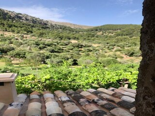 Casa de vacaciones S'Arracó  13