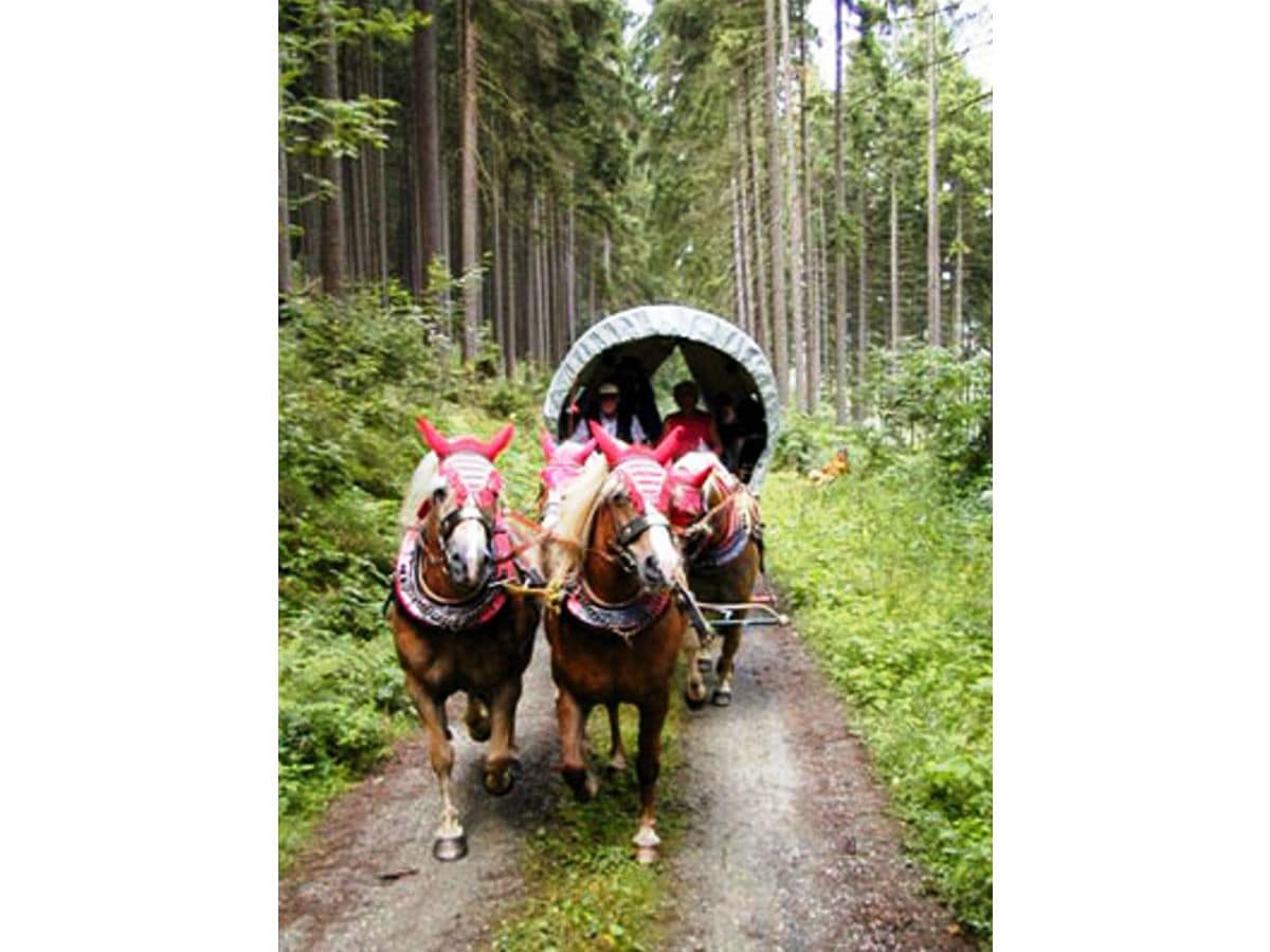 Mit der Kutsche durch den Spessart