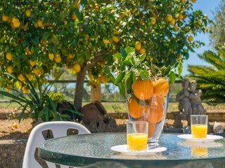 Apartamento Llubi Grabación al aire libre 25