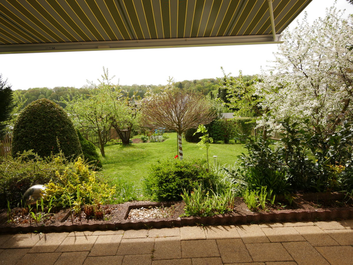 Blick von Terrasse auf Garten