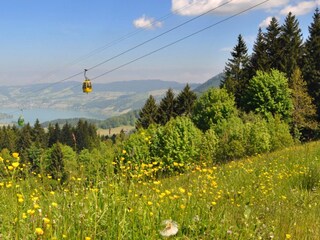 Gondelbahn Sattel Hochstuckli