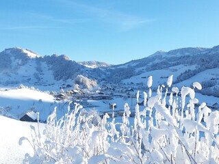 Aussicht Richtung Sattel-Dorf