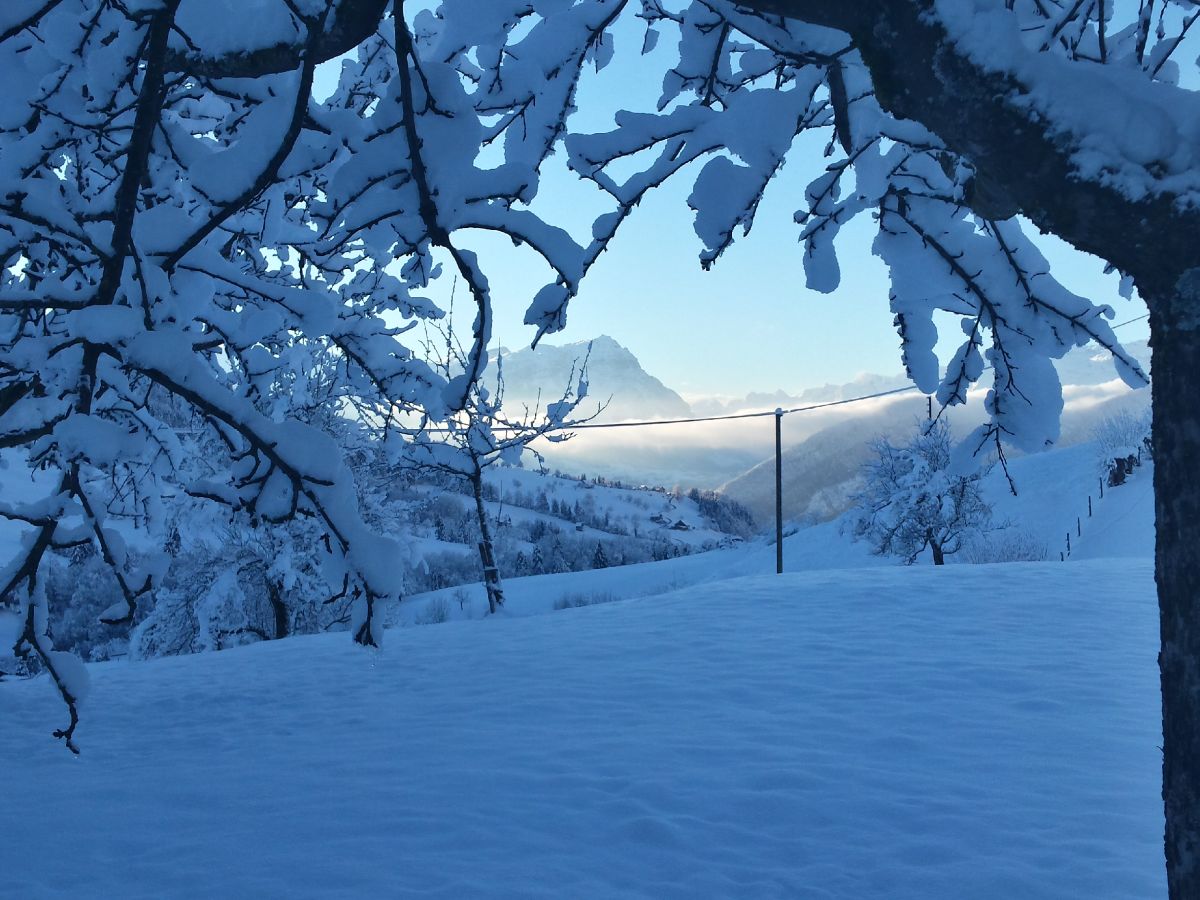 Blick Richtung Talkessel Schwyz