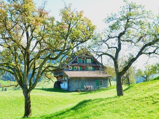 Blick zum alten Haus