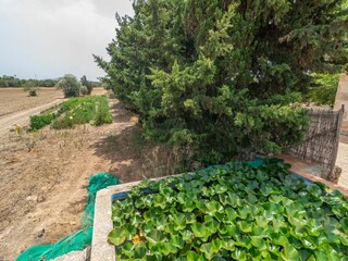 Villa Can Picafort  2