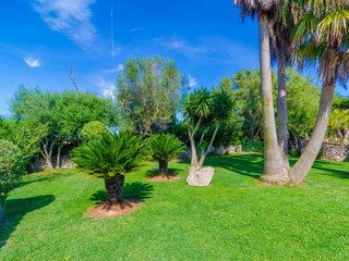 Villa Felanitx Outdoor Recording 9