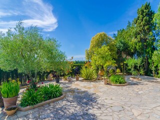 Villa Felanitx Grabación al aire libre 6