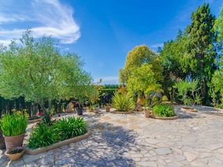 Villa Felanitx Outdoor Recording 10