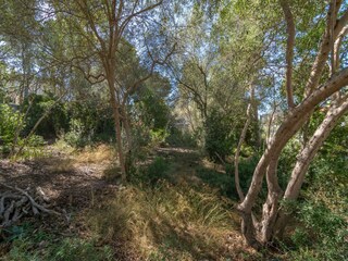 Ferienhaus Portals Nous  9