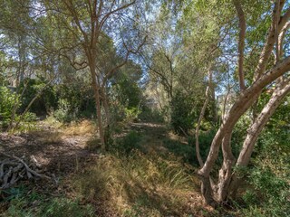 Holiday house Portals Nous  46