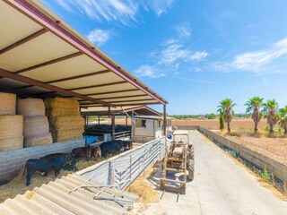 Maison de vacances Campos Enregistrement extérieur 20
