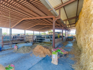 Ferienhaus Campos Umgebung 36
