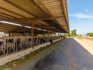 Ferienhaus Campos Umgebung 37