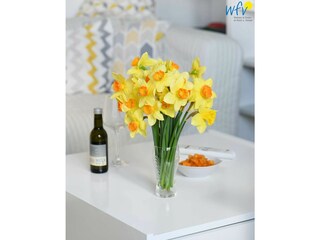 Vakantieappartement Wangerooge Kenmerken 18