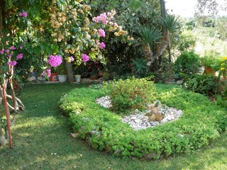 Apartment Ugljan (Ort)  4