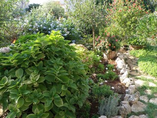 Apartment Ugljan (Ort)  5