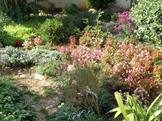 Apartment Ugljan (Ort)  6