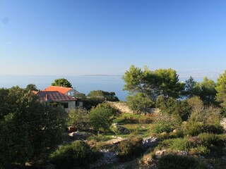 Apartment Ugljan (Ort)  36