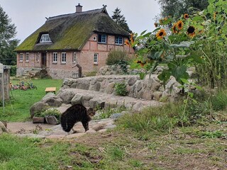 Apartment Zirkow Außenaufnahme 11