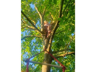 klettern und baumeln