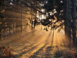 früh am Morgen um Schmacht