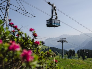 Fahrt über Alpenrosen