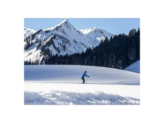 Langlauf im Kleinwalsertal