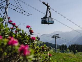 Fahrt über Alpenrosen
