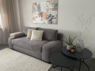 Wohn/ Schlafbereich mit Schlafsofa