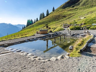 Apartment Jochberg Umgebung 18