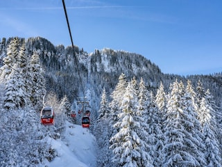 Apartment Jochberg Environment 10