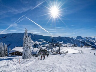 Apartamento Jochberg Entorno 18