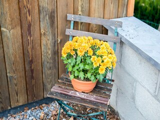 Casa per le vacanze Durbuy  37