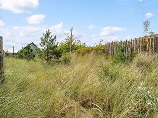 Maison de vacances Sint Maartenszee Environnement 26