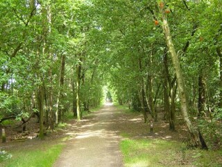 Vakantiepark Wemeldinge Omgeving 34