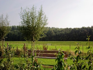 Holiday park Wemeldinge Environment 37