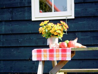 Parque de vacaciones Wemeldinge Grabación al aire libre 7